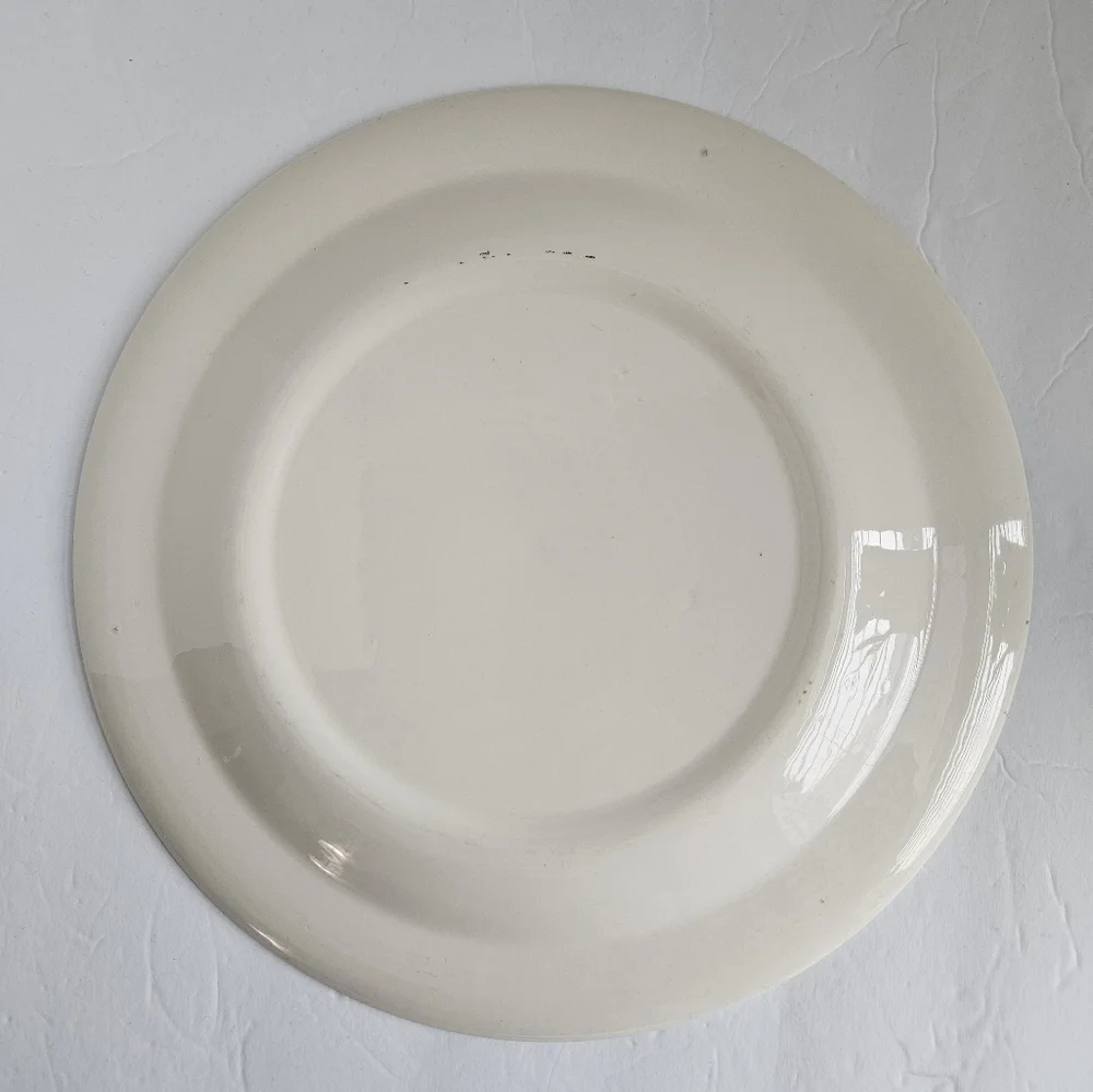ROYAL CHINA CAVALIER IRONSTONE "IT'S A DAISY" PLATTER - Picture 3 of 9